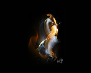 silhouette of dancing smoke HD wallpaper